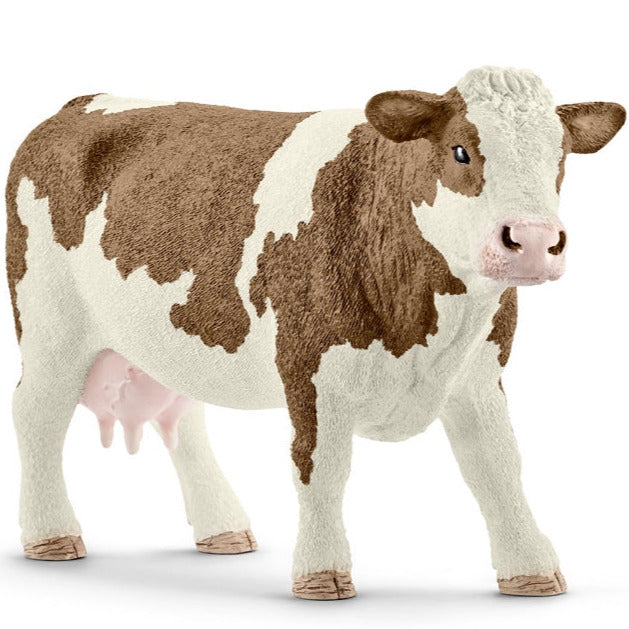 Simmental Cow